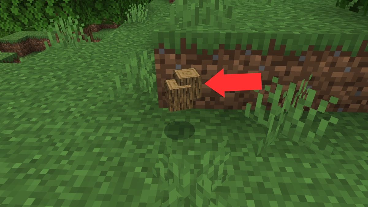 Wood dropped on the ground, needed to make a crafting table and a brewing stand in Minecraft. 