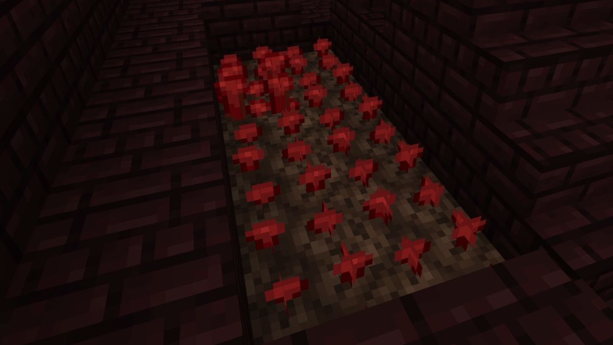 Netherwart beside a staircase in a fortress in Minecraft.