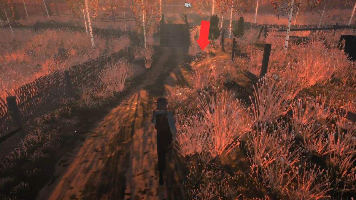 The missing wagon wheel sitting beside the path and highlighted by an arrow in Reka.