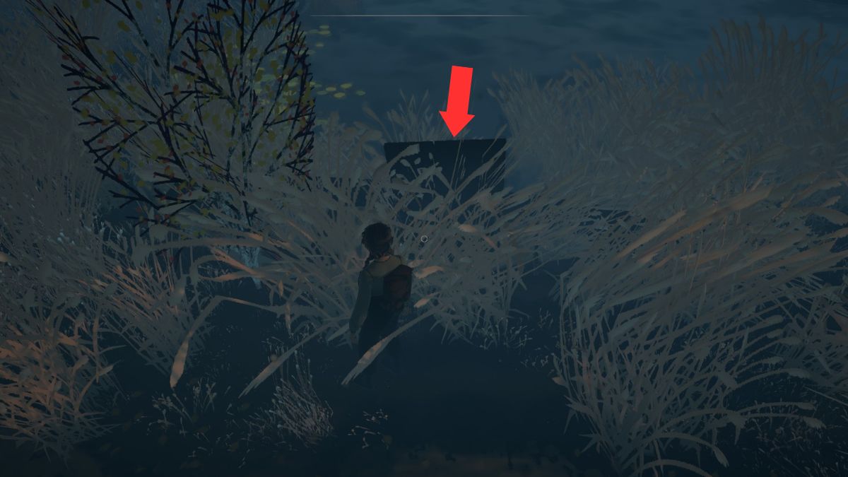 An arrow shows the location of a hidden chest near the riverbank in Reka.