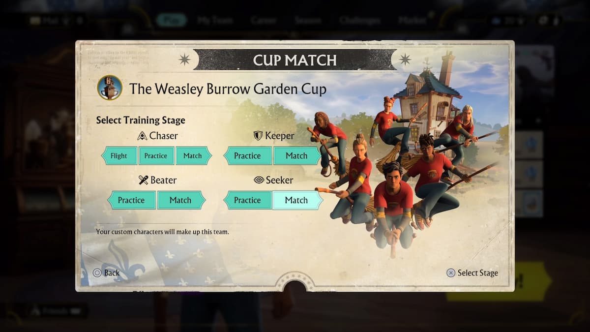 Select your training stage as Chaser, Beater, Keeper, or Seeker in The Weasley Burrow Garden Cup in Harry Potter: Quidditch Champions.