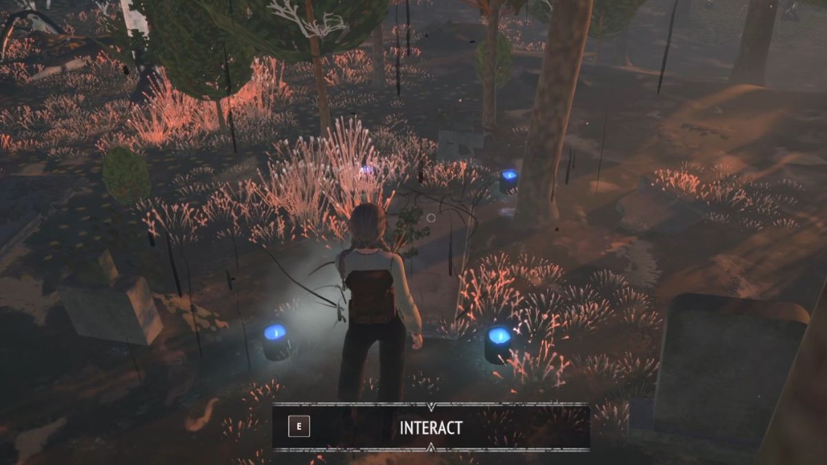 The player cleanses a grave in the graveyard of the first area of Reka.