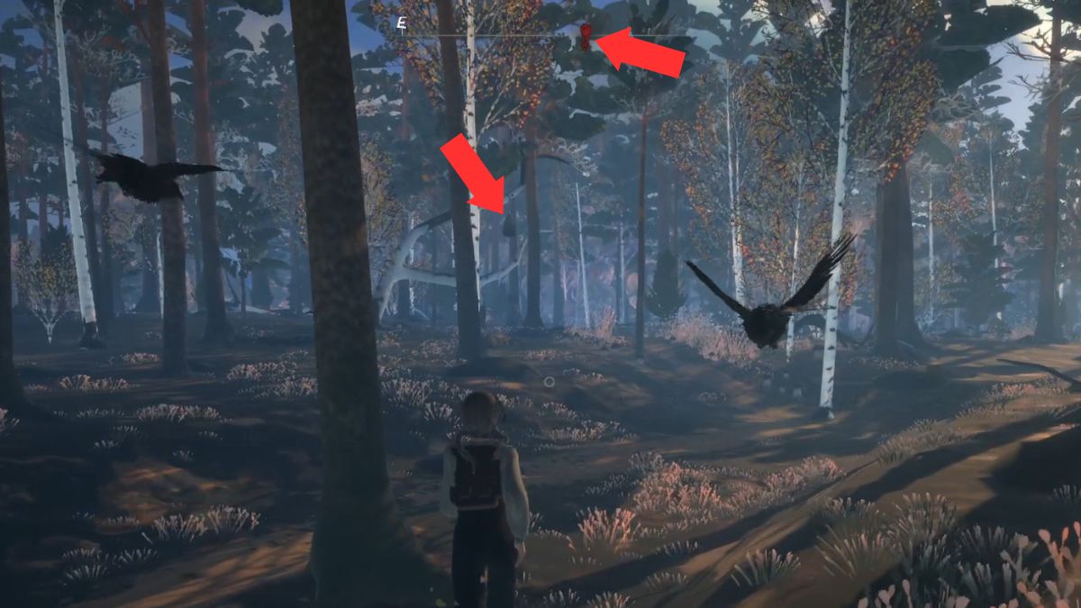 The player heads towards the home of the Lutki in the first quest in Reka.
