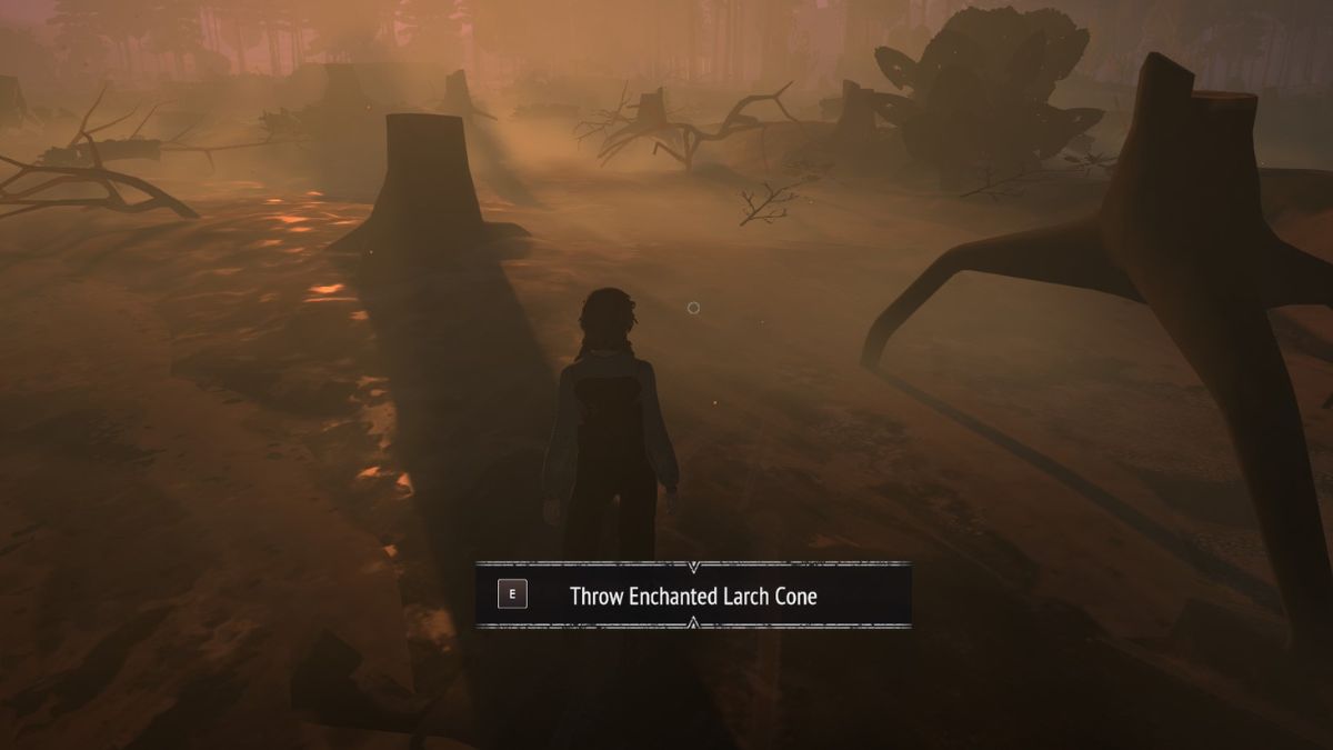 The player is prompted to throw an enchanted cone on the ground.