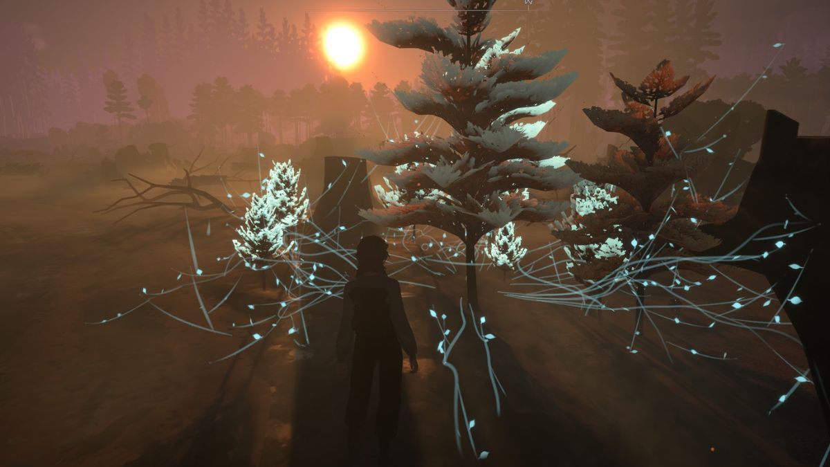 Trees grow where the enchanted cone landed on the bare ground.