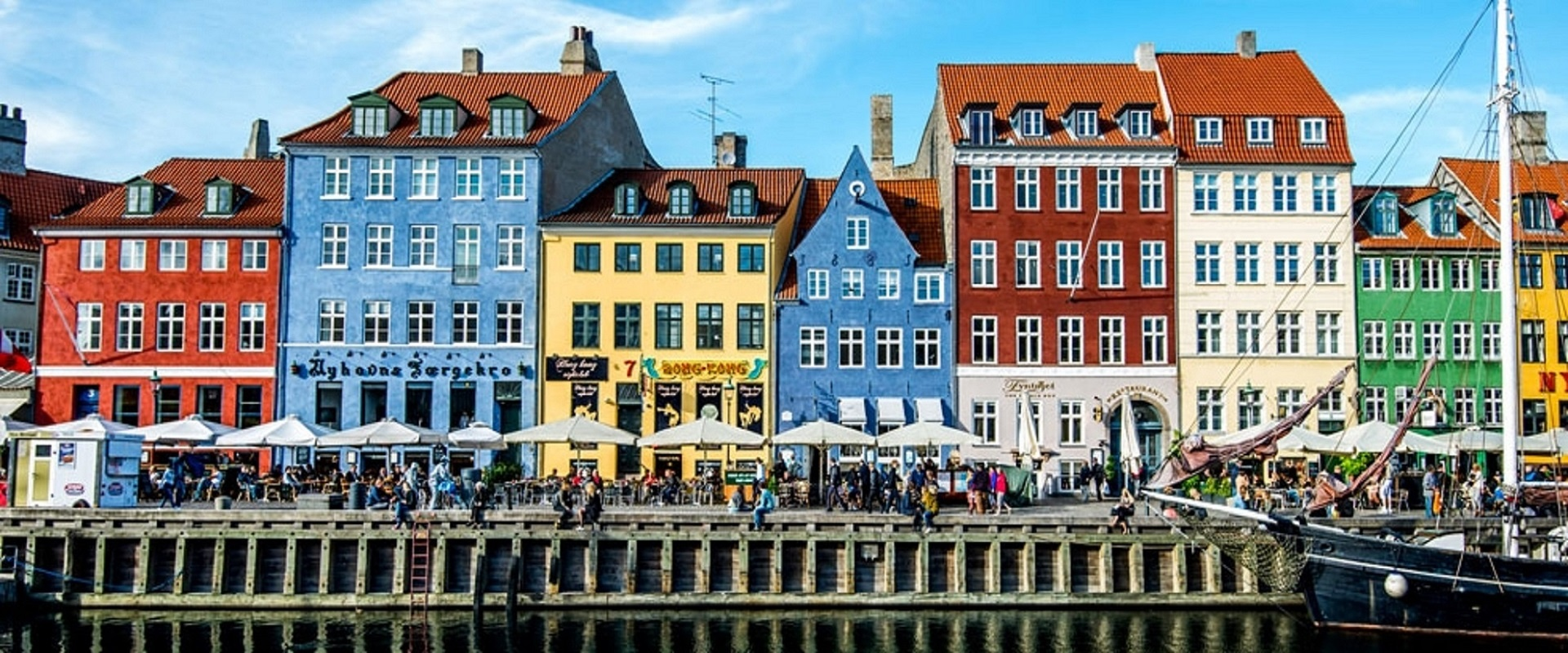 brew dog agency i konkurs i danmark
