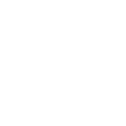 Rainbet